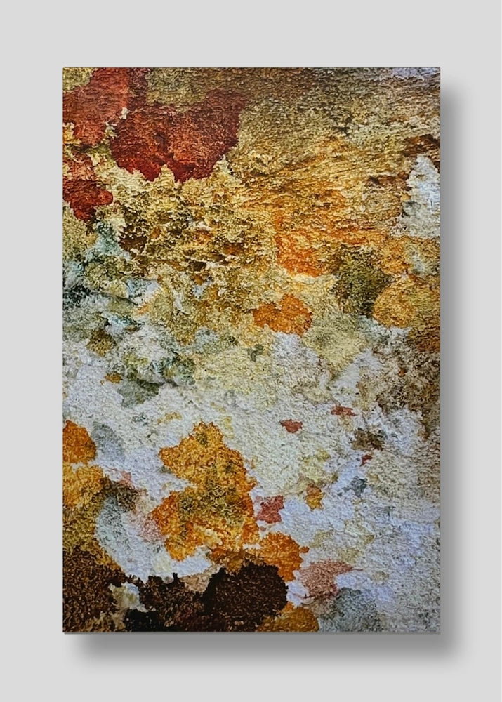 Echoes of Fall #4, Canvas Print