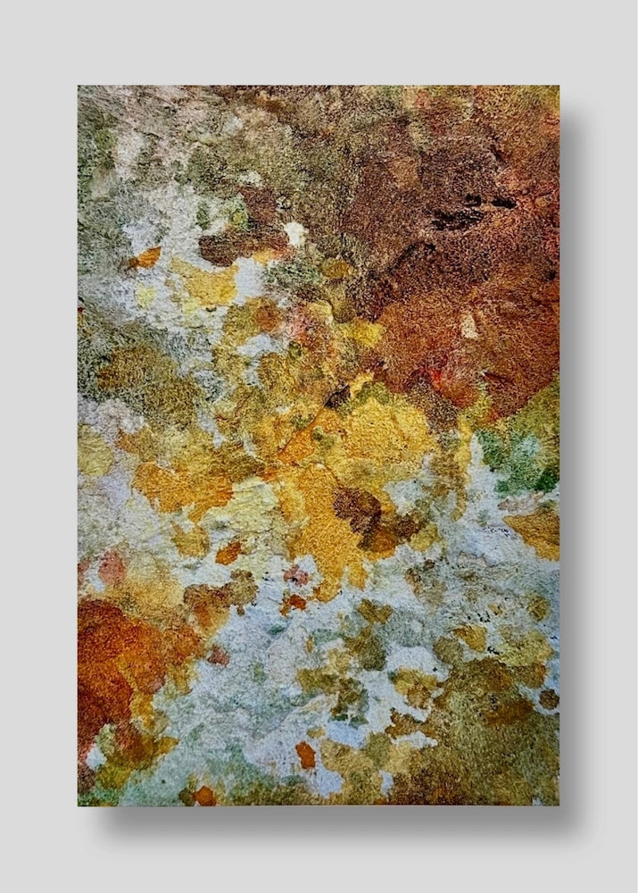 Echoes of Fall #1, Canvas Print